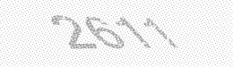 Visual security code — type the characters shown in the image