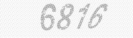 Visual security code — type the characters shown in the image