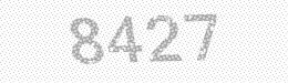 Visual security code — type the characters shown in the image